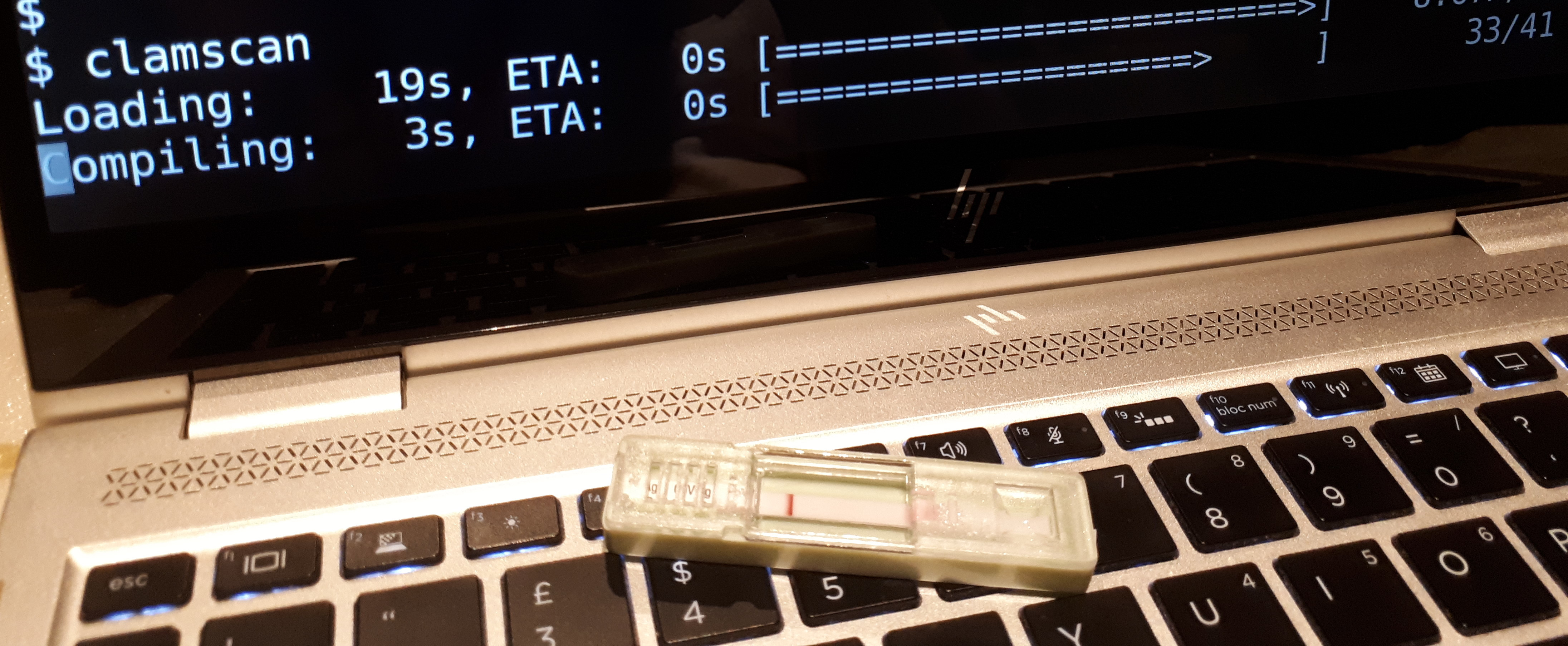 Image of clamav running and a COVID lateral flow test